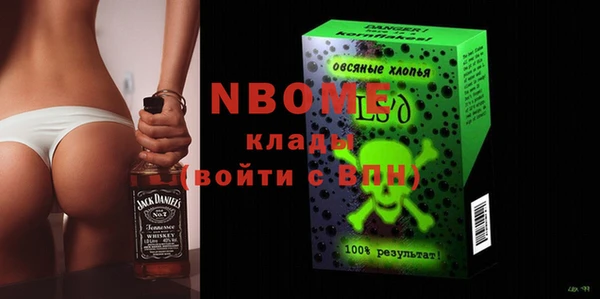 индика Богородицк