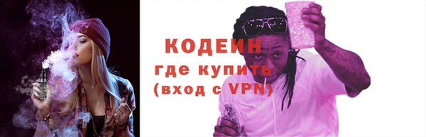 индика Богородицк