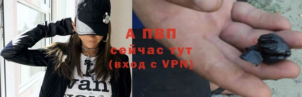 гидра Богородск