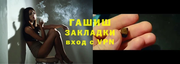 гидра Богородск