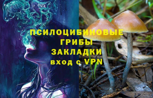 индика Богородицк
