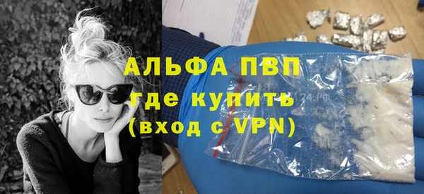 гидра Богородск