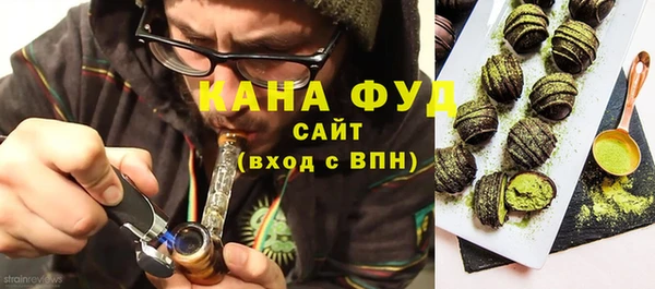 гидра Богородск