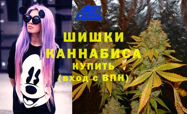 бутират Гусь-Хрустальный