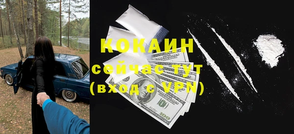 индика Богородицк