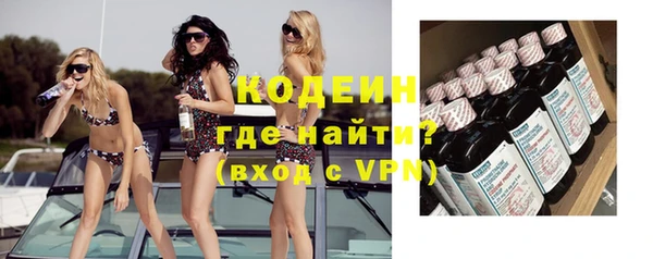 индика Богородицк
