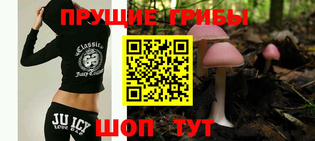 Псилоцибиновые грибы прущие грибы Бутурлиновка